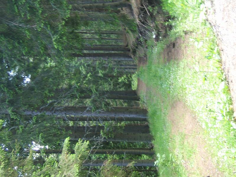 DSCF3402