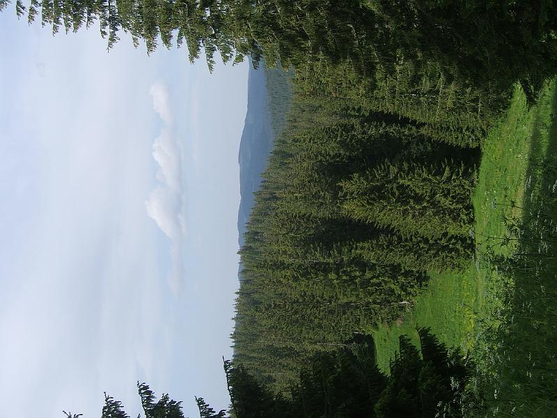 DSCF3425