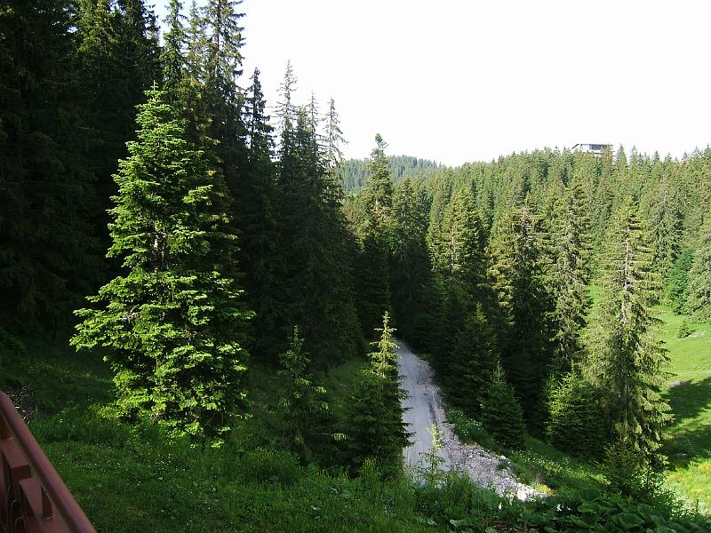 DSCF3433