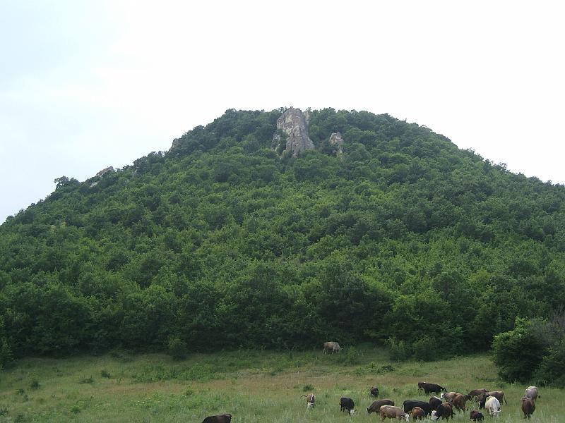 DSCF3451