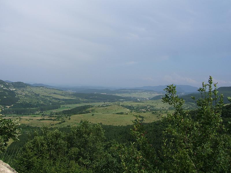 DSCF3463