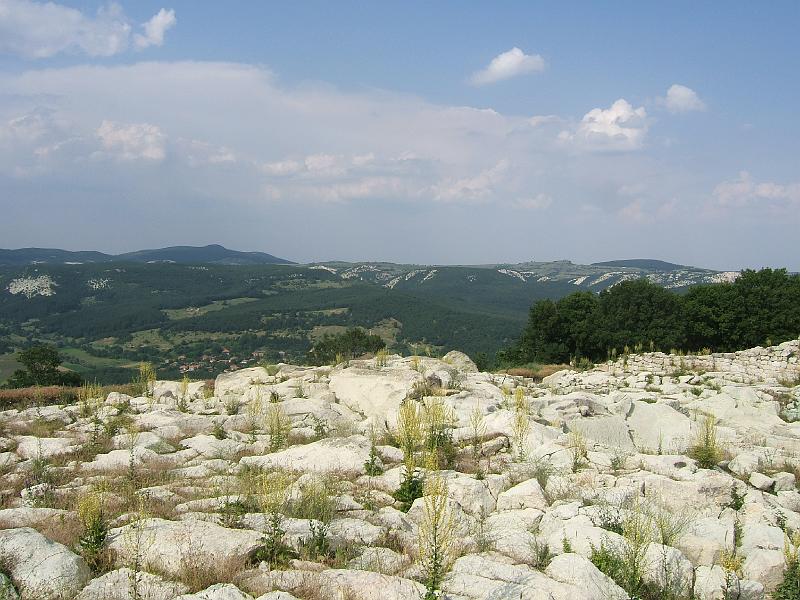 DSCF3482