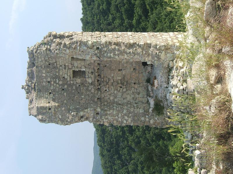 DSCF3486